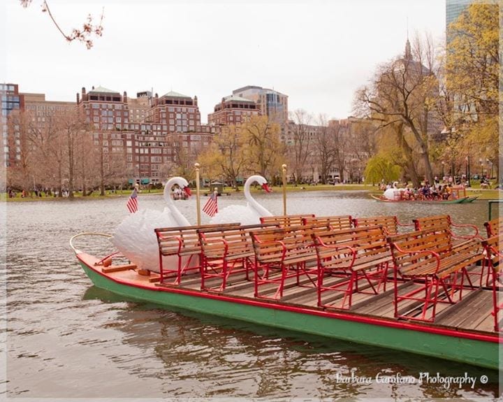 It’s always a great day when strolling through Boston!