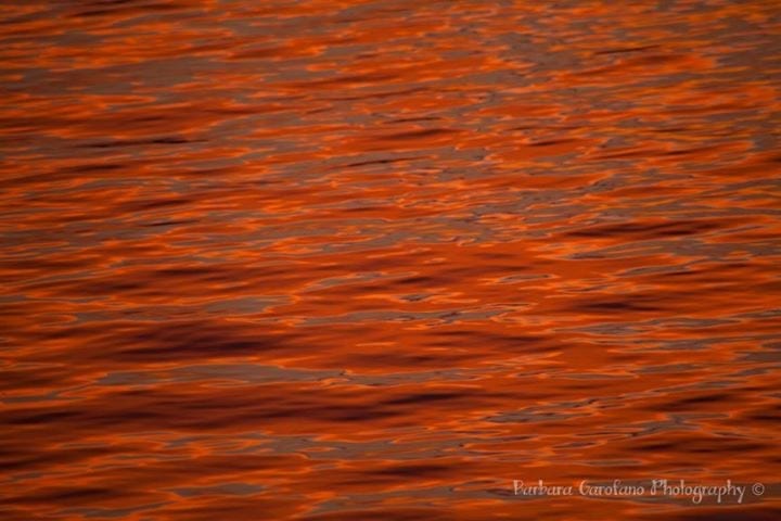 The sun was a huge red ball the other night, but I loved the reflection in the water even better!