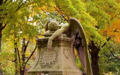 I like to bring my camera when I’m out and about. I’ve captured some nice New England photos. I also sell prints, if you’re looking for something special. I might have it. Message me, and we can talk. #weepingangel #newengland #fall #statue #laboroflove️ #grief #nowordsneeded #southshorephotographer #cemeteryphotography #beauty #goosebumps