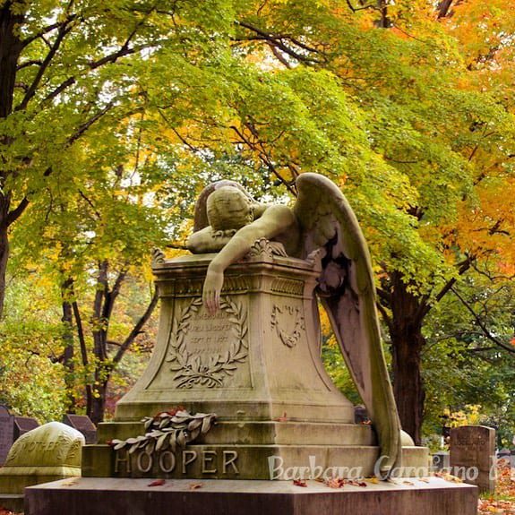 I like to bring my camera when I’m out and about. I’ve captured some nice New England photos. I also sell prints, if you’re looking for something special. I might have it. Message me, and we can talk. #weepingangel #newengland #fall #statue #laboroflove️ #grief #nowordsneeded #southshorephotographer #cemeteryphotography #beauty #goosebumps