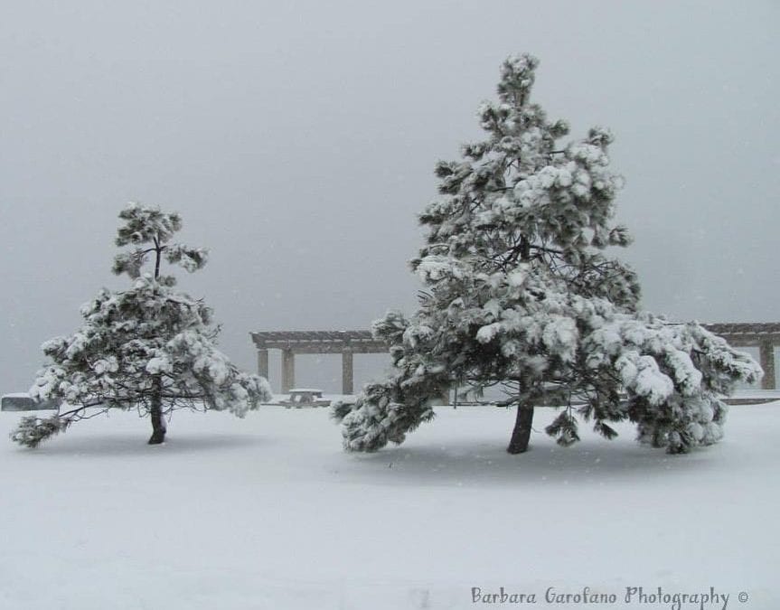 #grayday #snowday #nantasketbeach #photographer #raw #southshorema #southshoreliving #southshorephotographer #isellprints #contactmeforinfo