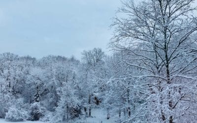 #iseeblueskiesahead #nomoresnowdays #springsoon #february #newengland