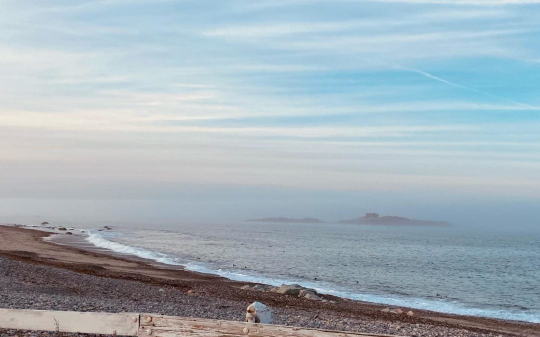 #fogonthehorizon #cohasset #eveningwalk #niceweather #springinnewengland #southshorephotographer