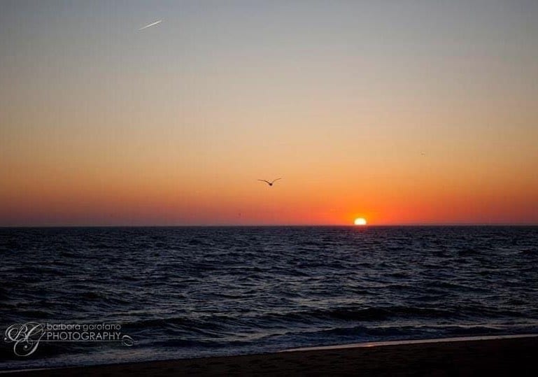 #capecodphotography #ptown #sunsetphotography #southshorephotographer #cuethebird #isellprints