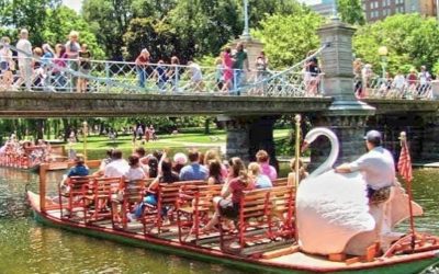 #bostonpublicgarden #swanboats #swanboat #photographer #sunnyday #bustlingcitylife #childhoodpassage #touristattraction #raw