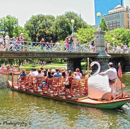 #bostonpublicgarden #swanboats #swanboat #photographer #sunnyday #bustlingcitylife #childhoodpassage #touristattraction #raw