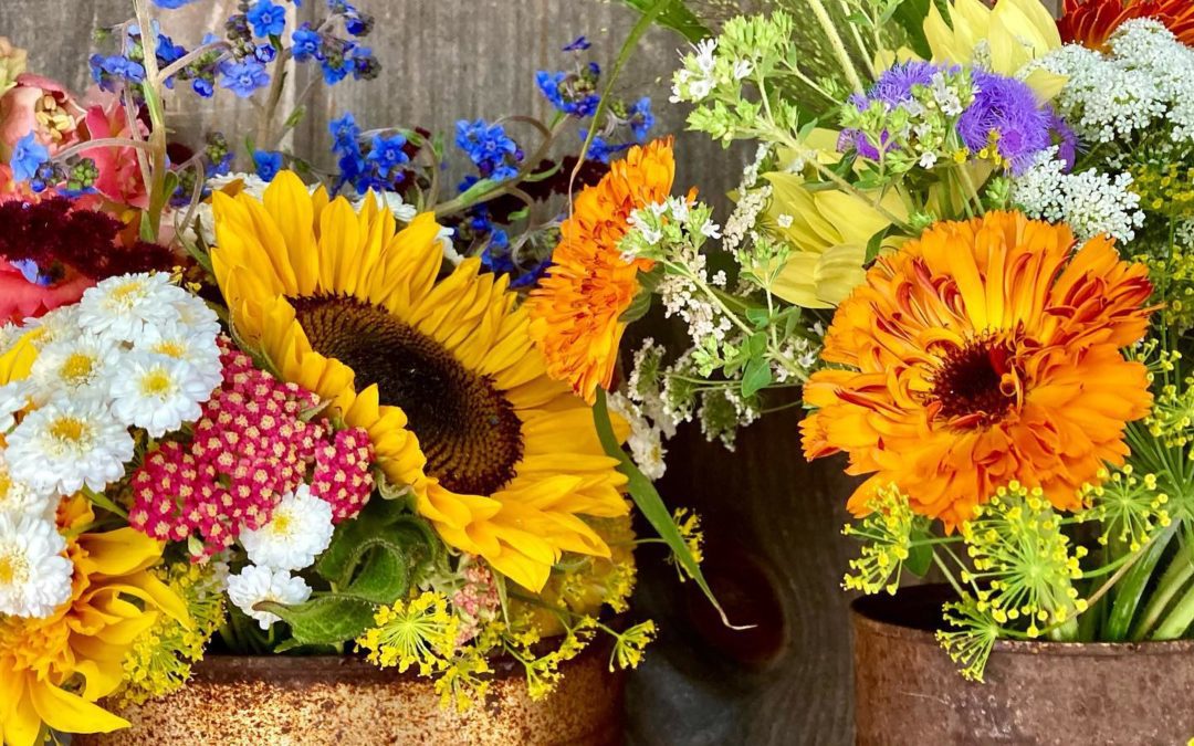 #flowersincans #morningsidefarmersmarket #coloronadrearyday #edgartown