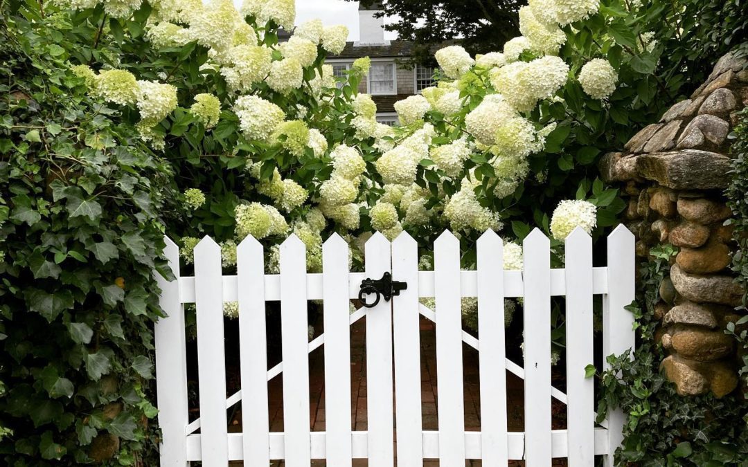 #harwich #capecod #whitehydrangeas #gatekeeper #gate #rainday #photographer #raw #walking