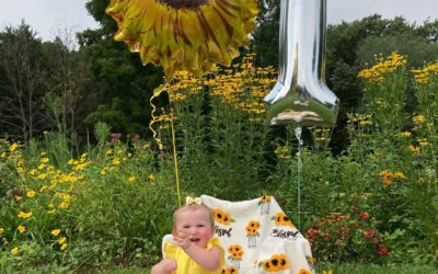 #oneyearoldphotoshoot #sunflowers #babygirl #girl #fieldofflowers #humid #hingham #balloons #yellow #photographer #southshore