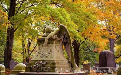 “Autumn shows us how beautiful it is to let things go.” #autumn #weepingangel #hingham #graveyard #2021 #grief #colorful #photographer #isellprints